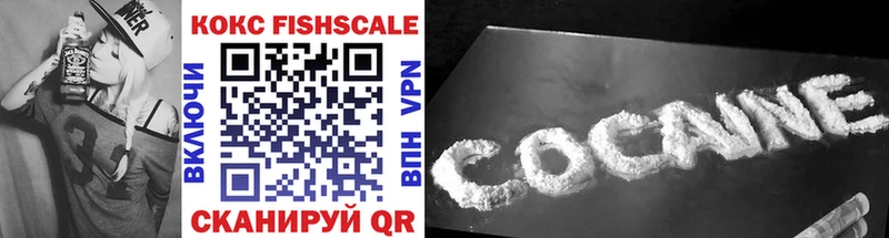 цены наркотик  Райчихинск  COCAIN FishScale 