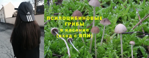 прущая мука Покровск