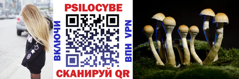 Псилоцибиновые грибы Magic Shrooms  ссылка на мегу сайт  Райчихинск 